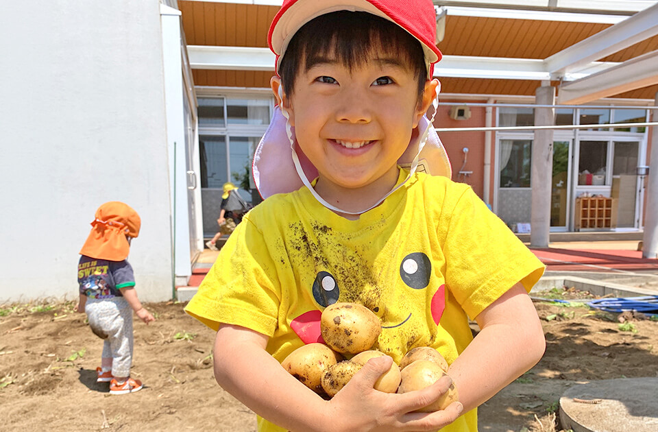 2026年5月 SuruSu上陽こども園 じゃがいも掘り