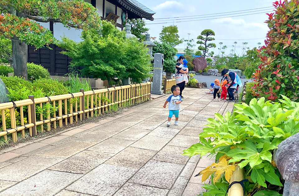 2026年6月 SuruSu上陽こども園 6月のこどもの様子