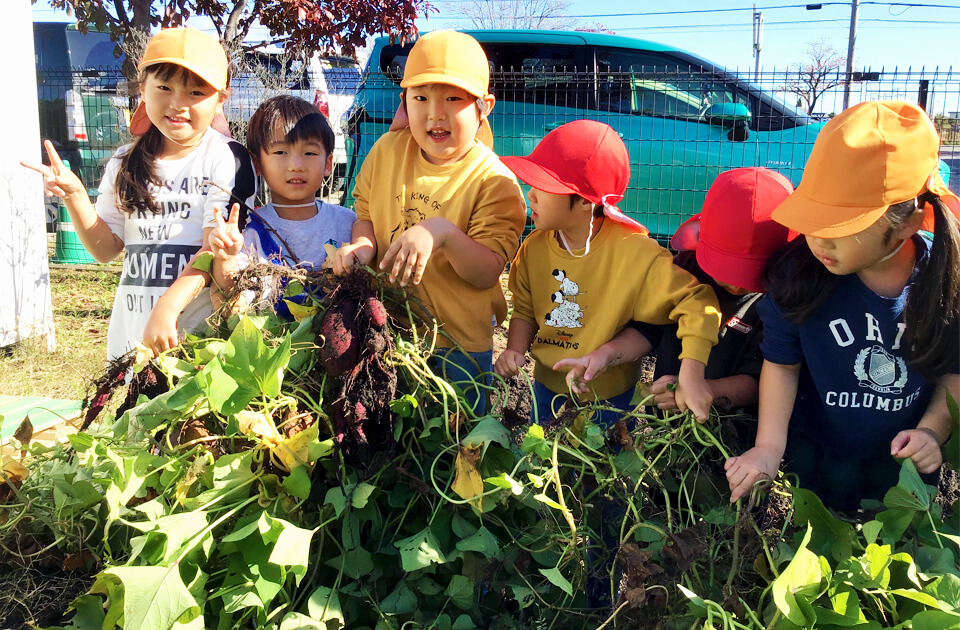 2024年10月 SuruSu祝昌こども園 収穫の秋の様子