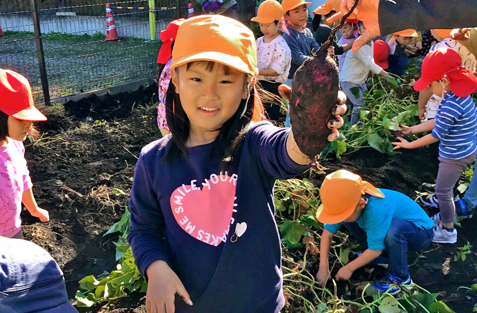 2024年10月 SuruSu祝昌こども園 収穫の秋の様子