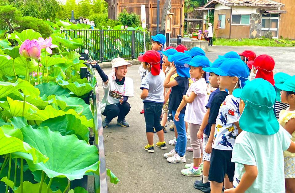 2025年7月 SuruSu祝昌こども園 散歩のお話