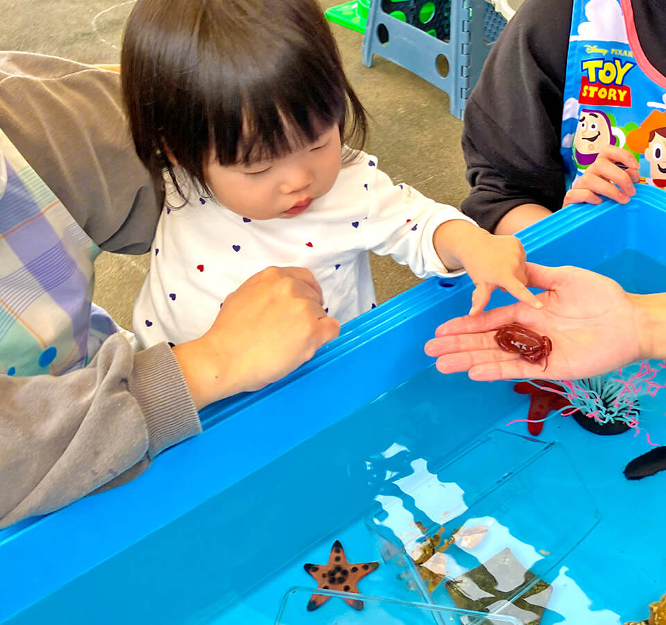 2025年11月 SuruSu祝昌こども園 移動水族館の様子