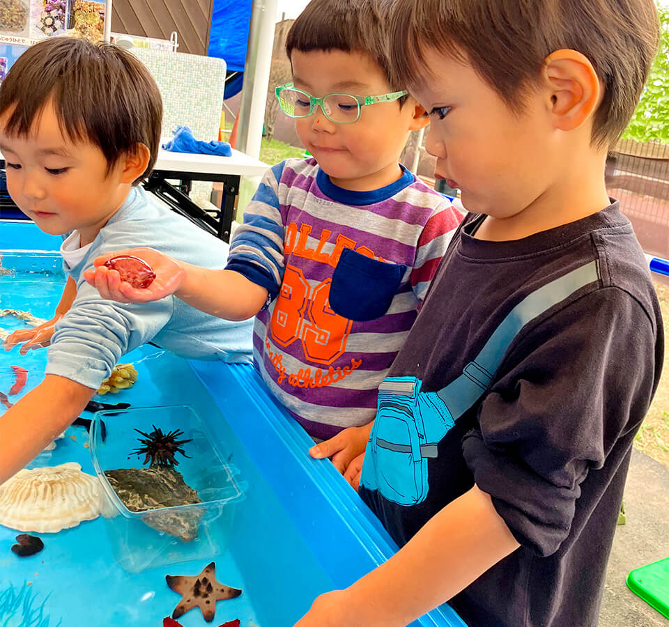 2025年11月 SuruSu祝昌こども園 移動水族館の様子