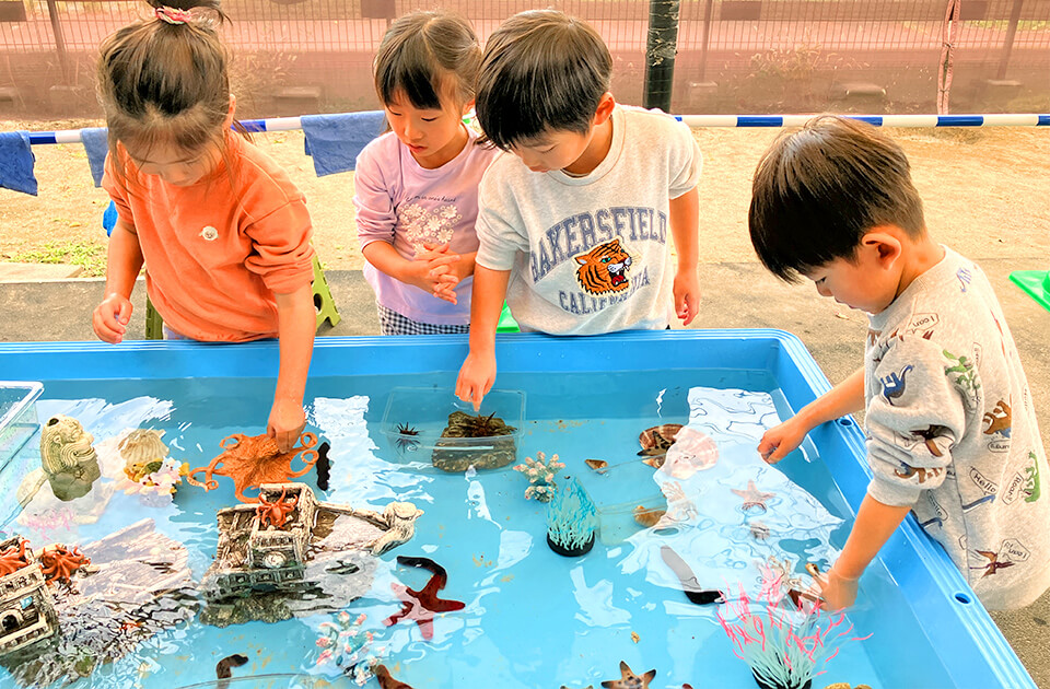 2025年11月 SuruSu祝昌こども園 移動水族館の様子