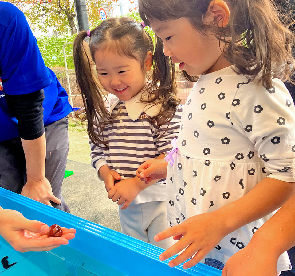 2025年11月 SuruSu祝昌こども園 移動水族館の様子