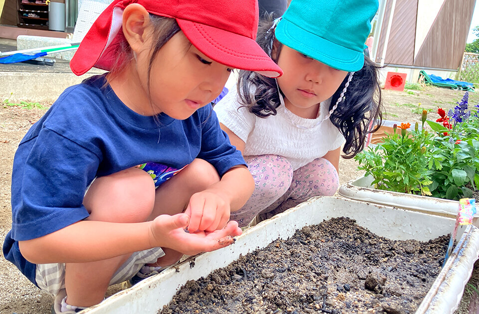 2026年6月 SuruSu祝昌こども園 6月の子どもの様子