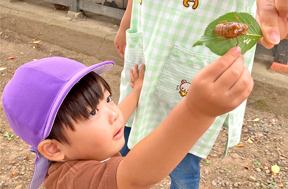 2026年8月 SuruSu祝昌こども園 8月の子どもの様子