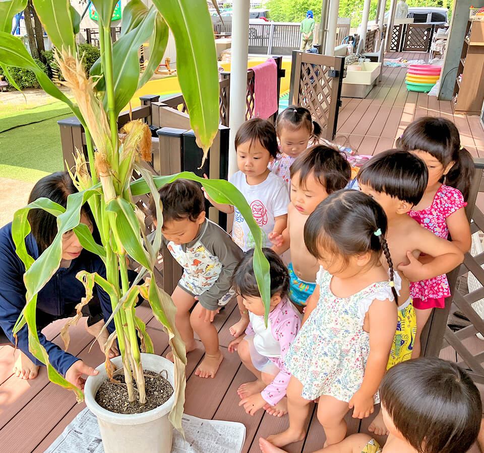 2026年8月 SuruSu祝昌こども園 8月の子どもの様子